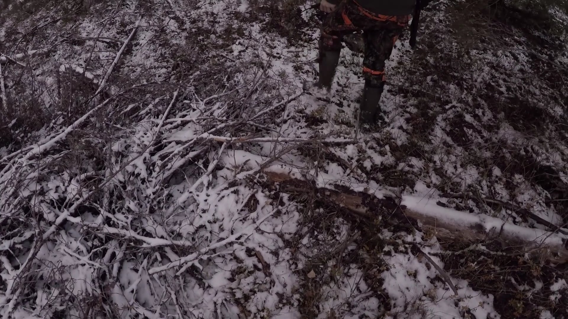 Jonas Edmans Vardag : Rävjakt 5