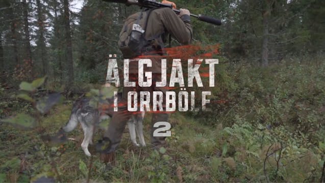 Älgjakt i Orrböle 2