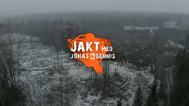 Jakt med Jonas och Dennis | Drevjakt ...
