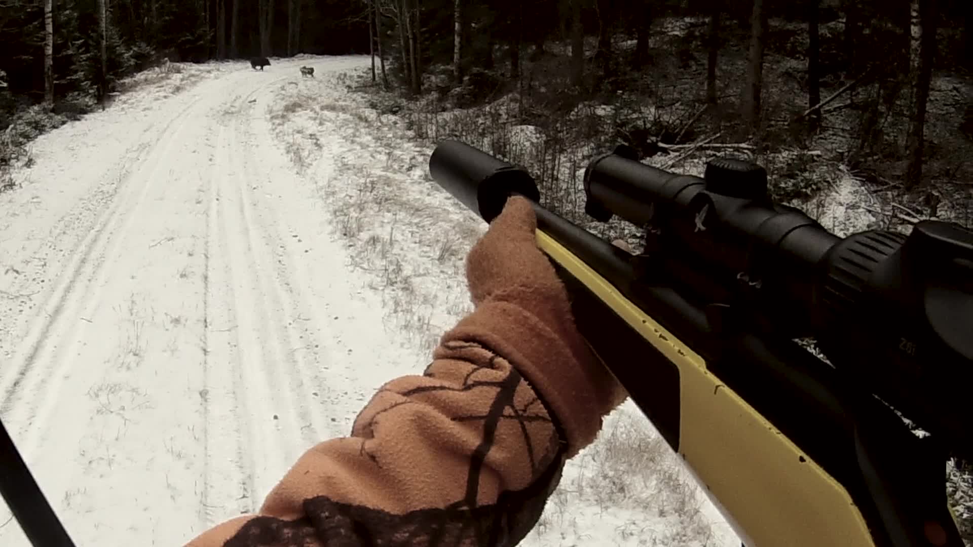 Martin Brenne Jegerliv : Vildsvinsjakt 1