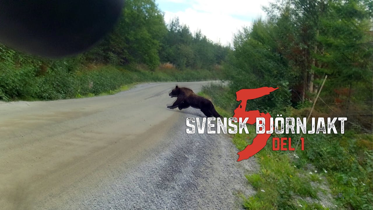 Svensk Björnjakt 5 Del 1 Säsong 1 Bearplay Jaktfilm 3125