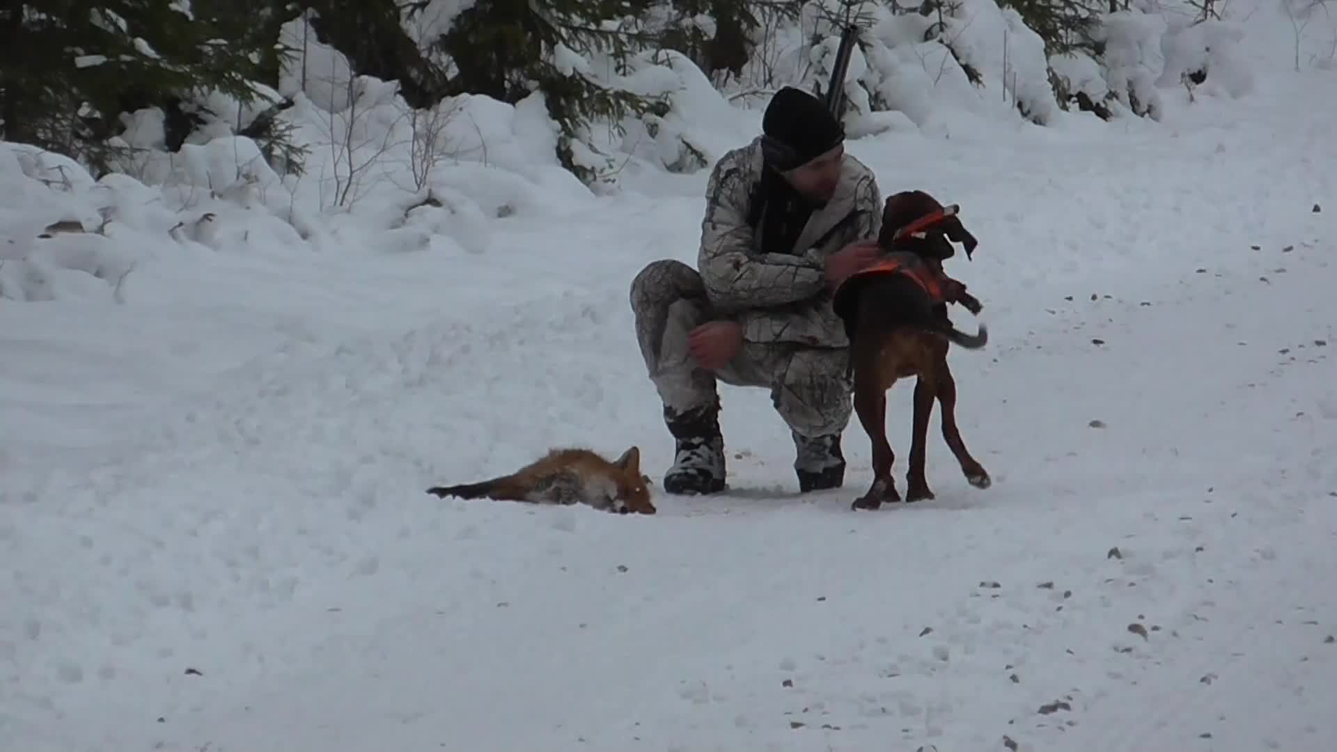 Bröderna Bravader : Räv Och Mård 2 Trailer