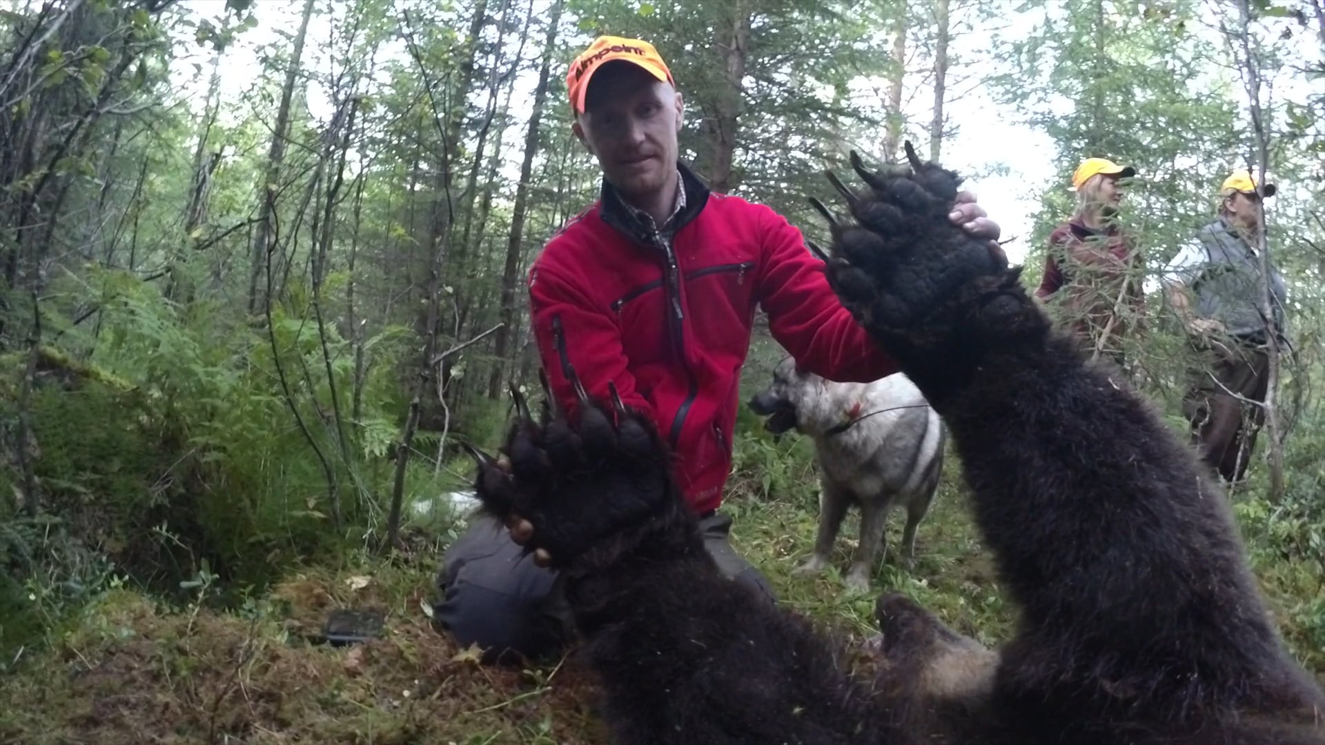 Martin Brennes Jegerliv : Björnjakt 2020 Trailer