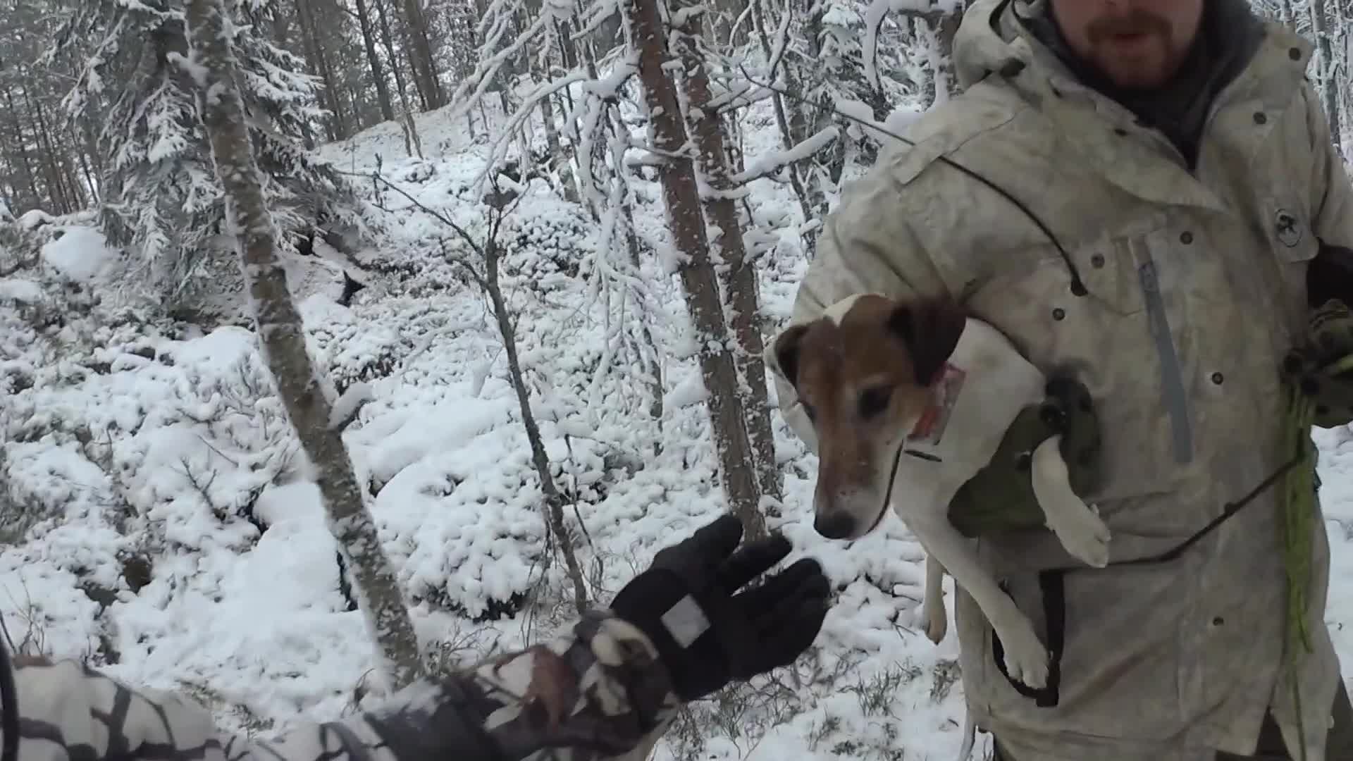 Martin Brenne Jegerliv : Rävjakt 4