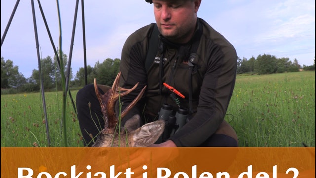 Kasper Hansen Hunting Adventures | Bockjakt i Polen 2023 Del 2 