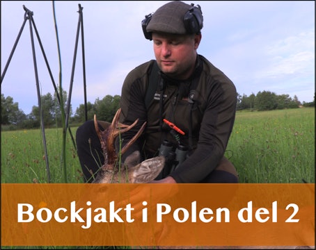 Kasper Hansen Hunting Adventures | Bockjakt i Polen 2023 Del 2 
