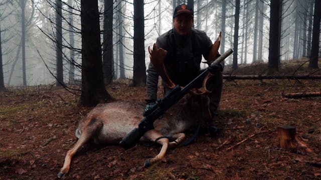 BEWILD : Dovhjortsjakt med Jonas Länn...