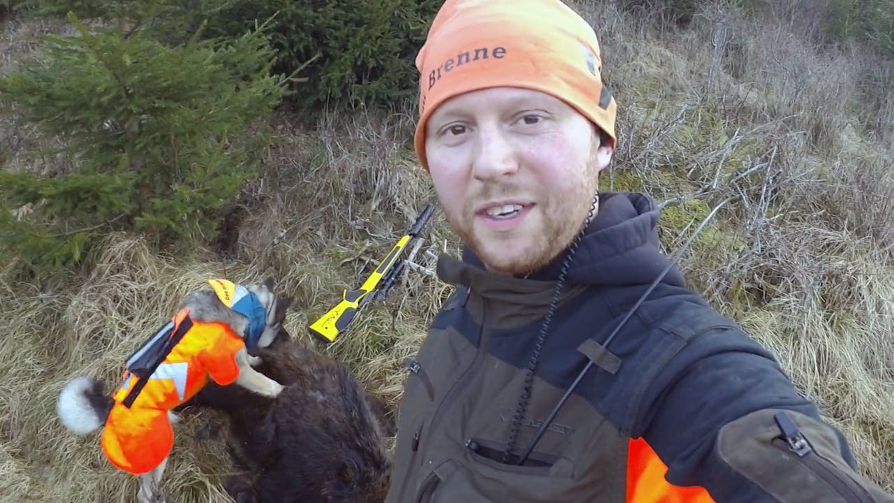 Martin Brennes Jägarliv Vildsvinsjakt Med Hund 1 Säsong 5