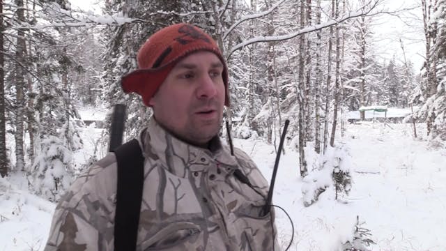Rasmus Vardag : Vargjakten 2018 Trail...