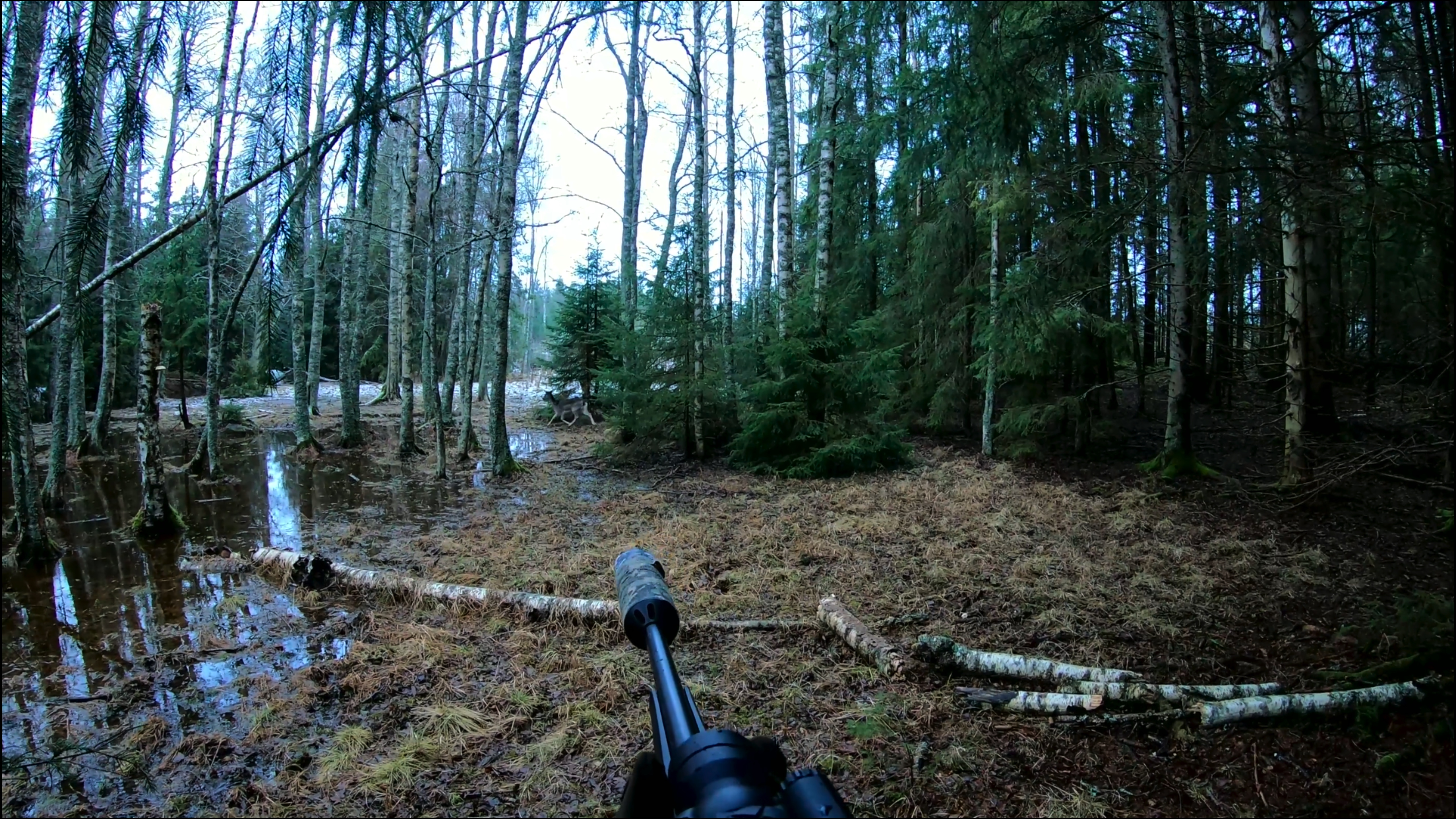Jakt med Jonas & Dennis | Drevjakt vid skogaholm