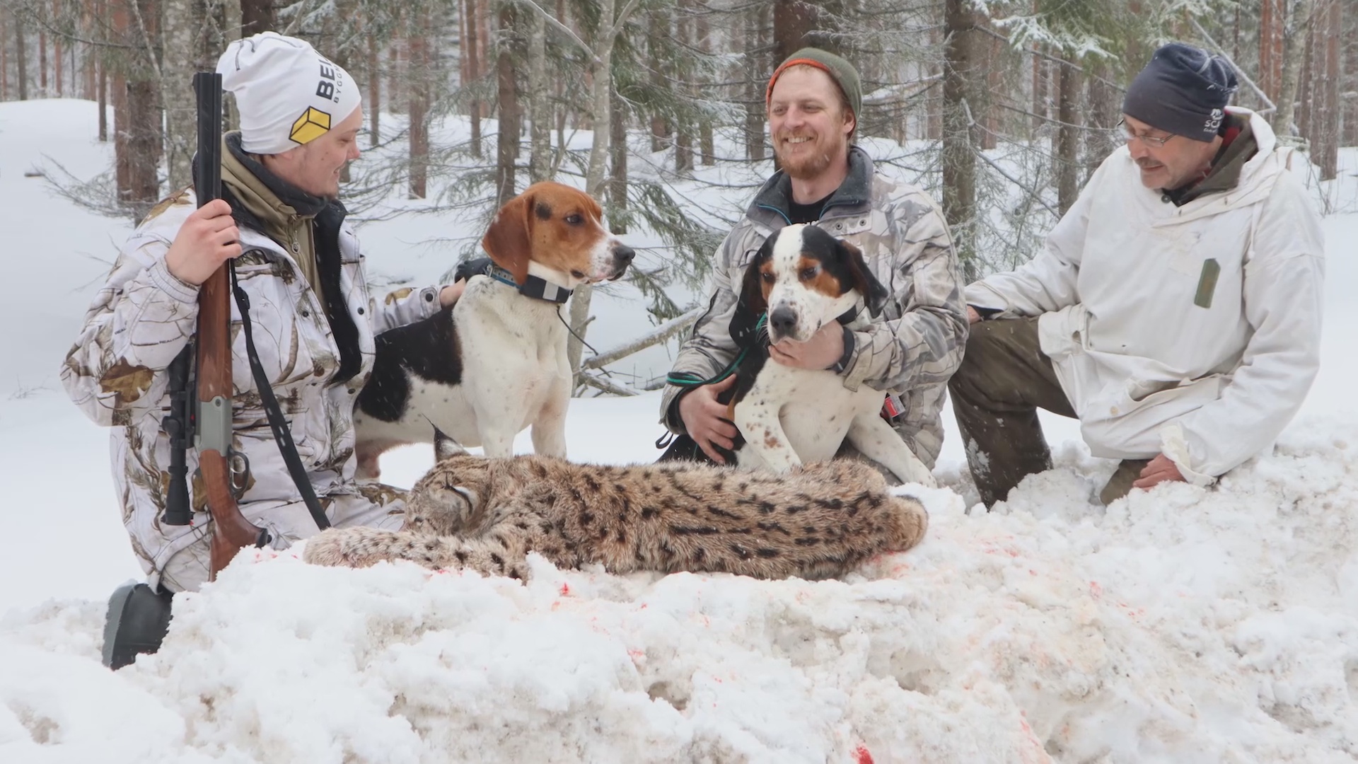 Nordlander Jakt : Räv och lojakt