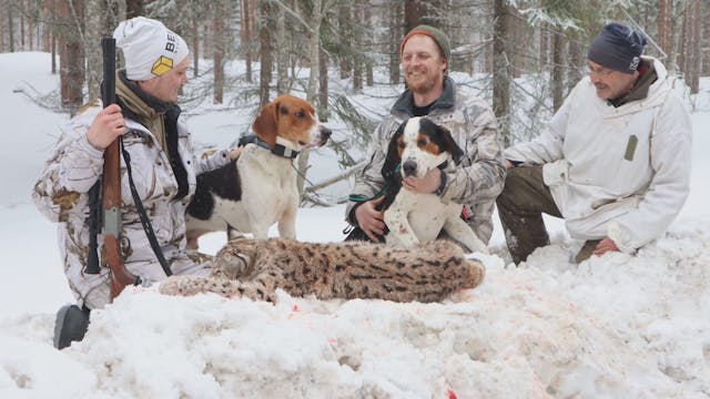 Nordlander Jakt : Räv och lojakt