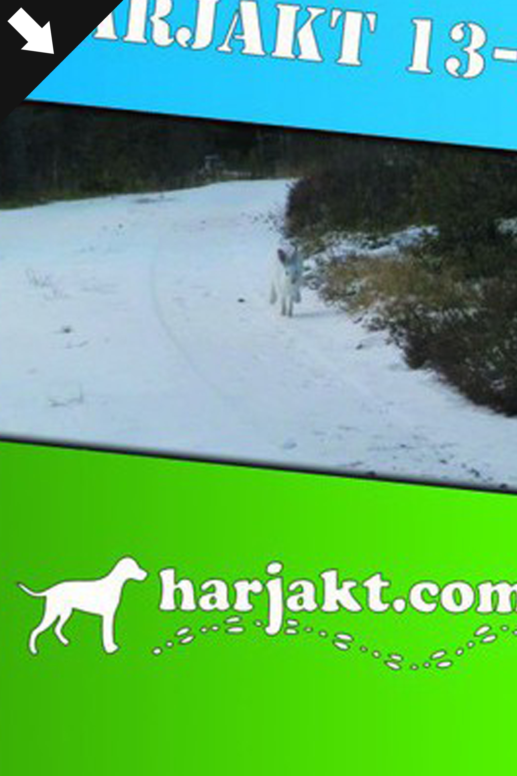 Harjakt.com : Harjakt 13-14