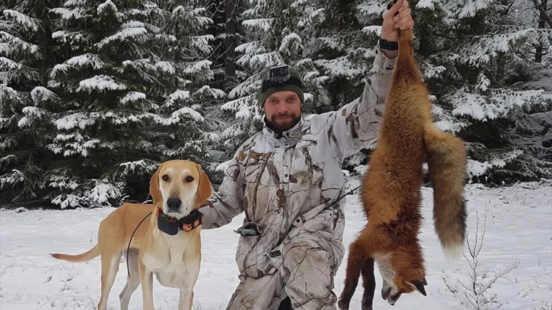 Martin Brenne Jegerliv : Rävjakt 2