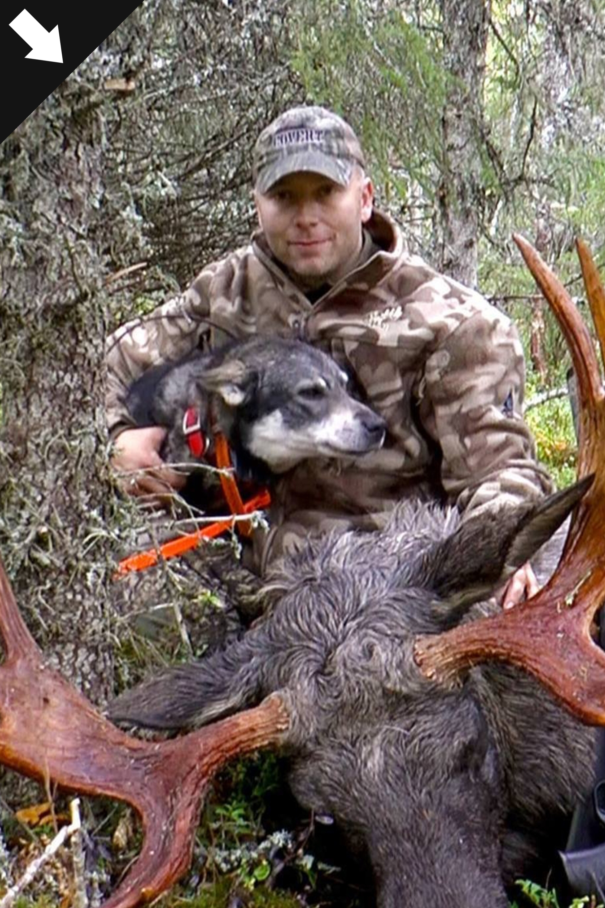 Norwegian Outfitters : Älgjakt Med Löshund 2