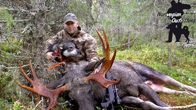 Norwegian Outfitters : Älgjakt Med Lö...