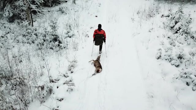 Jakten För Alla : Rådjursjakten Forts...