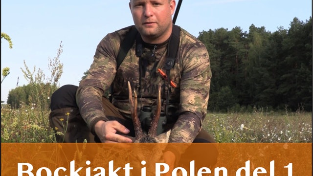 Kasper Hansen Hunting Adventures | Bockjakt i polen 2023 del 1 