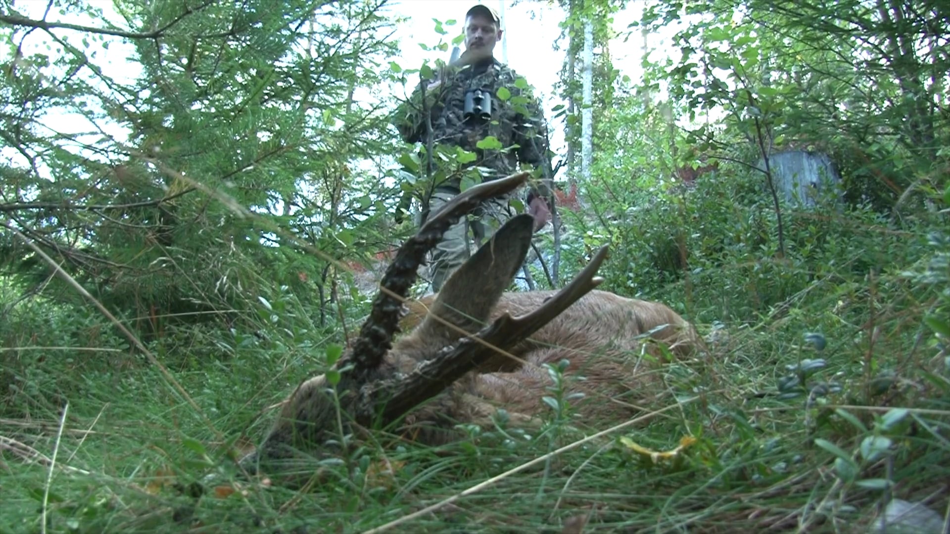 Martin Brenne Jegerliv : Bockjakt 1