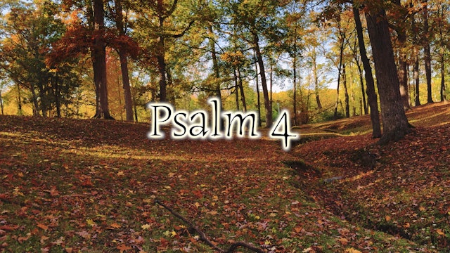 Psalm 4 (Simply Scripture Series: Episode 16)