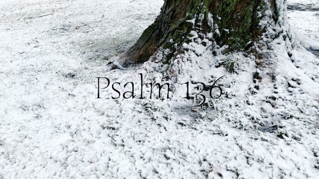 Psalm 136 (Simply Scripture Series: E...