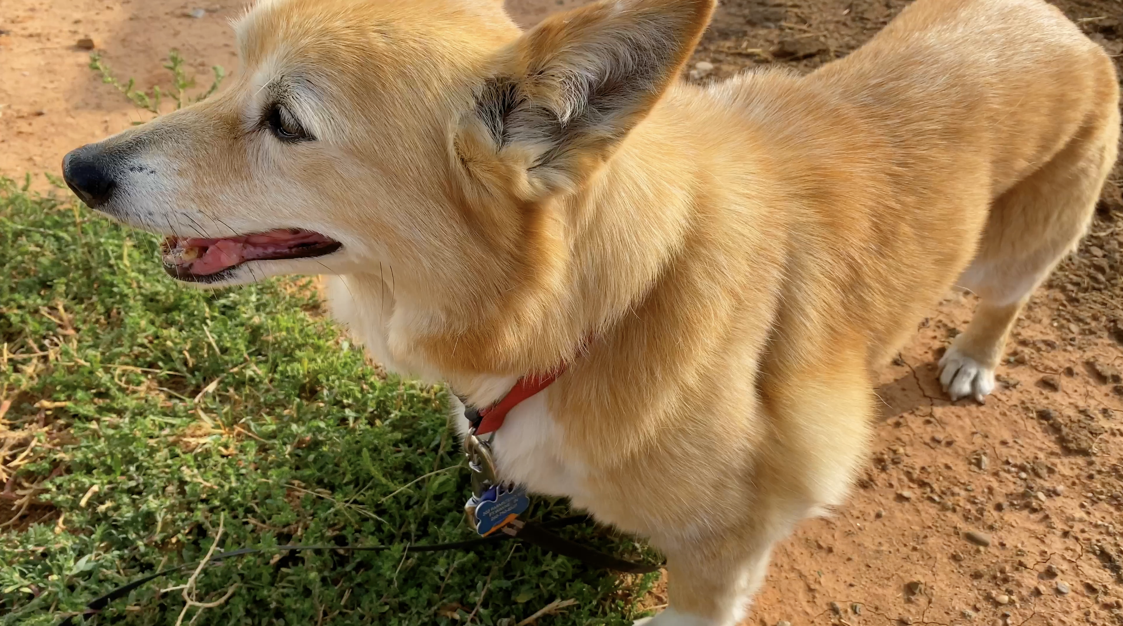 Long Drive Home (Westward Bound: Episode 14) 