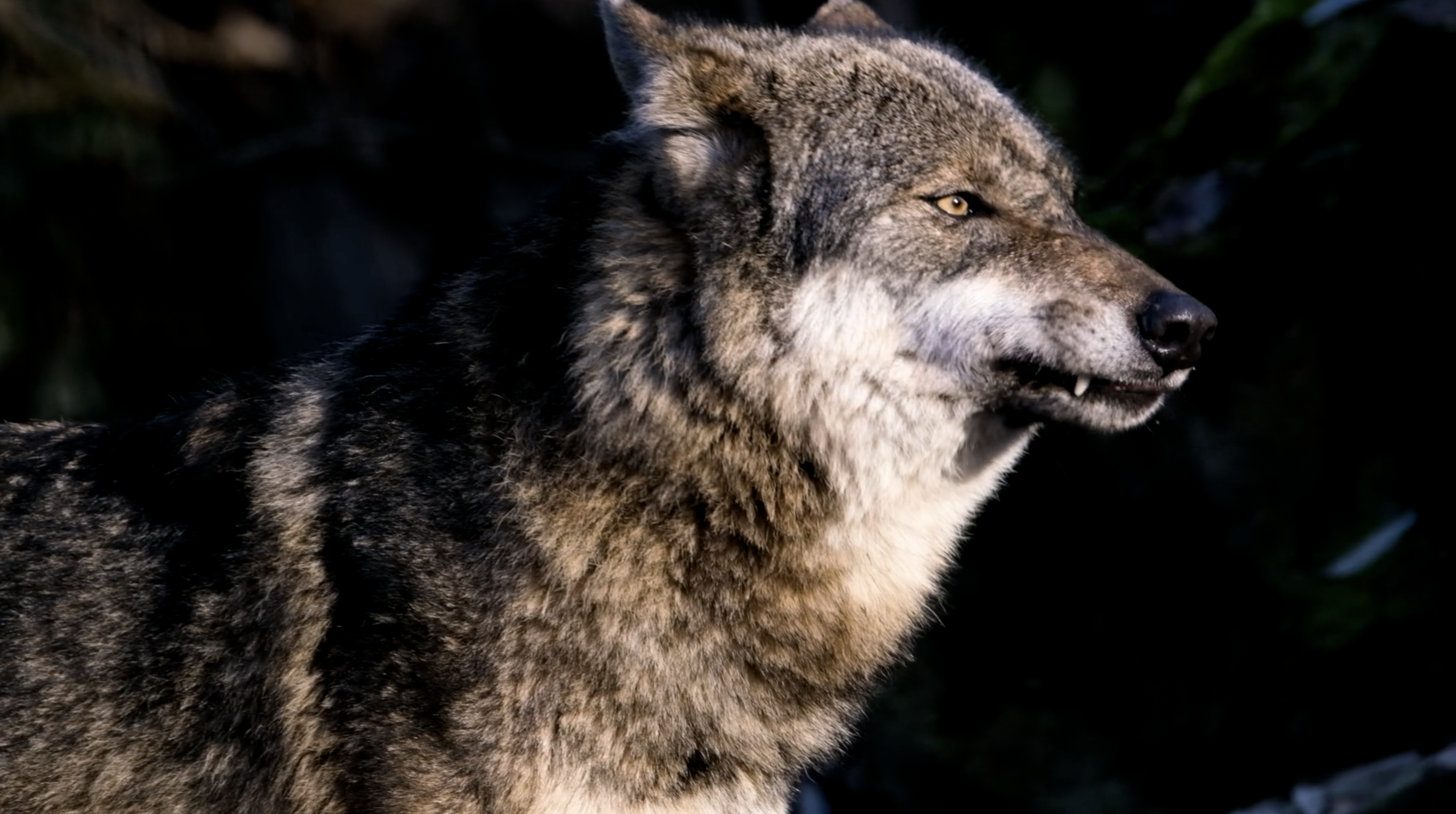 Our Children are in Grave Danger