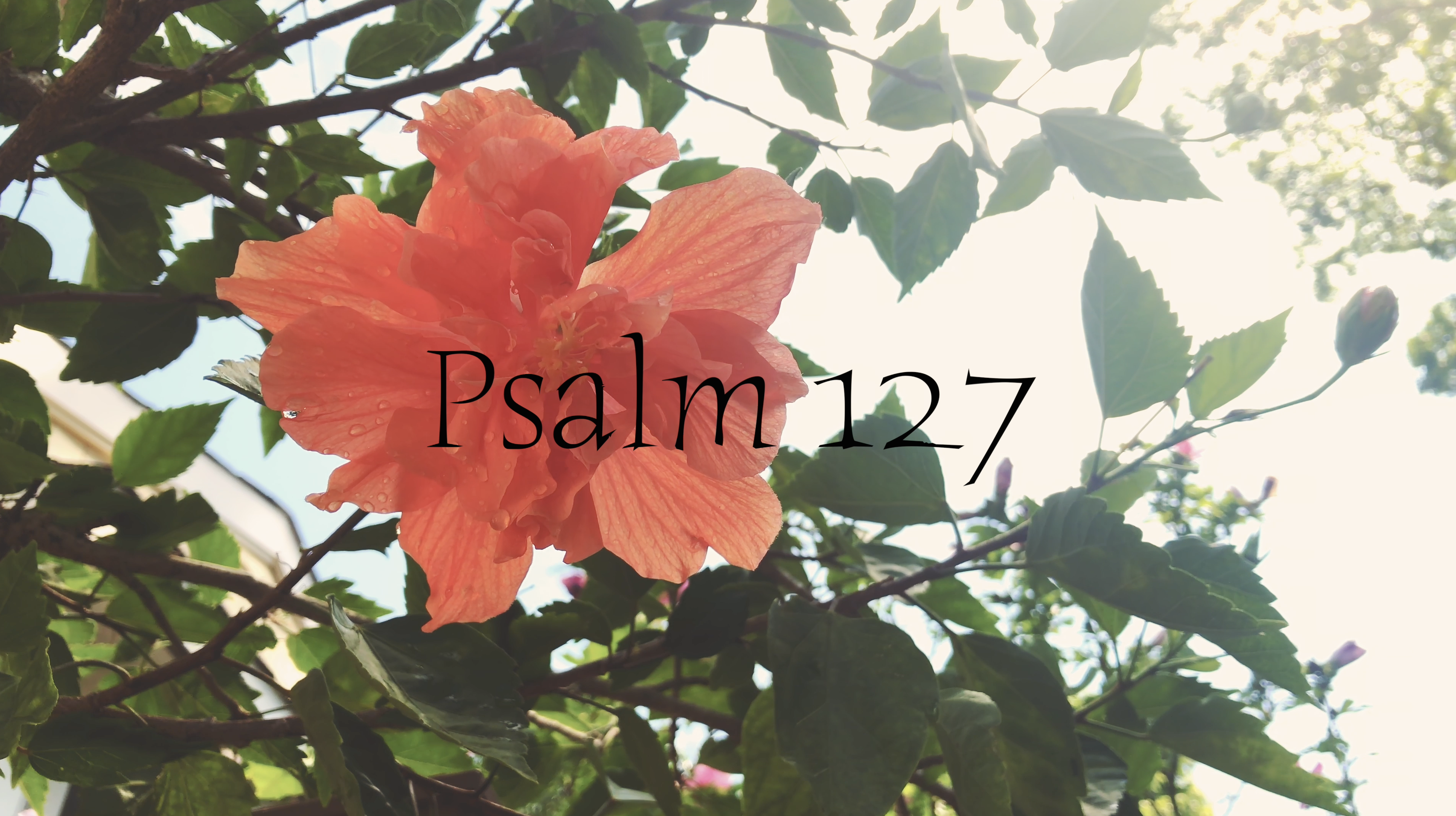 Psalm 127 (Simply Scripture Series: Episode 3)