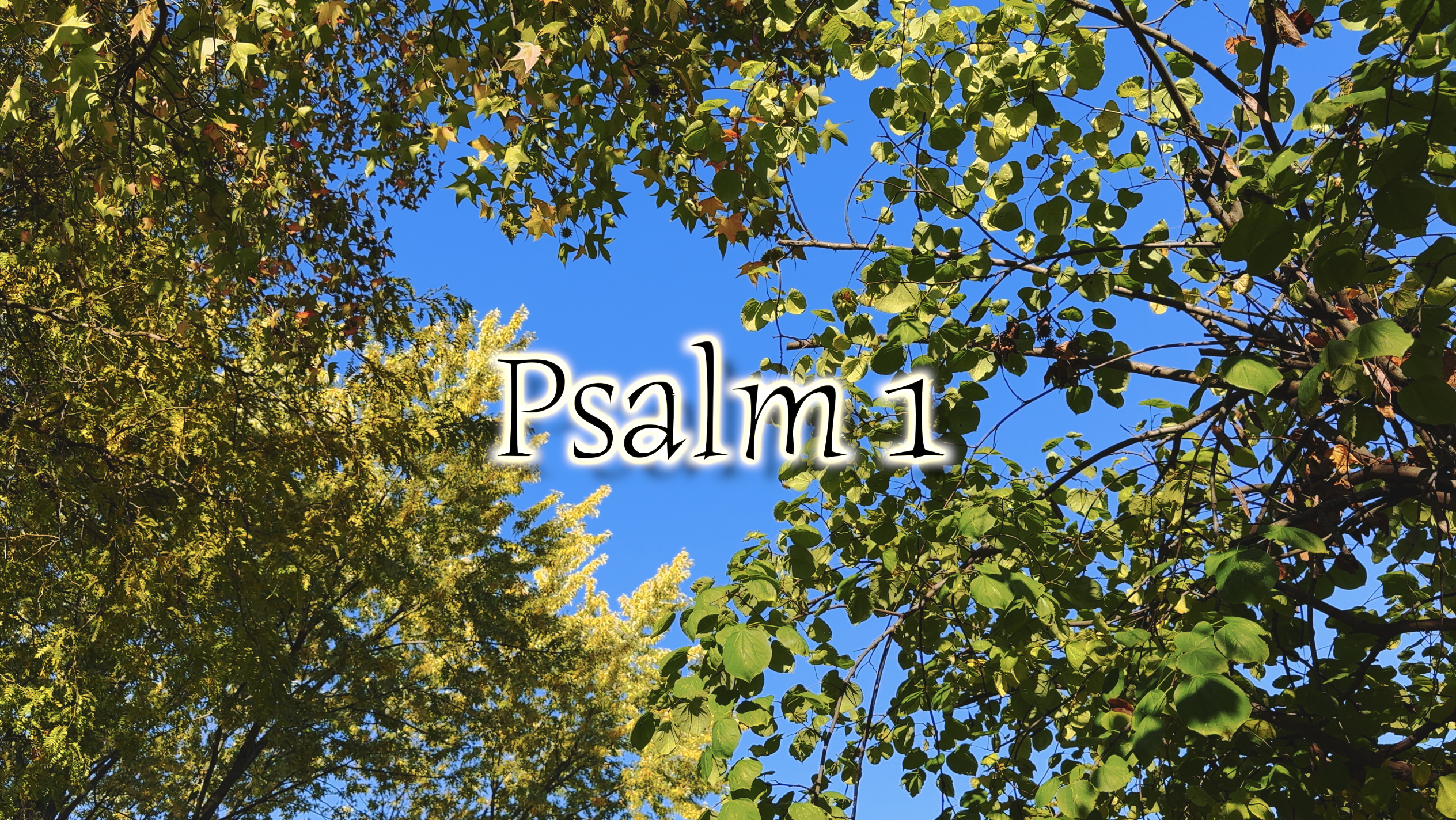 Psalm 1 (Simply Scripture Series: Episode 15)