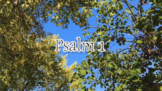 Psalm 1 (Simply Scripture Series: Epi...