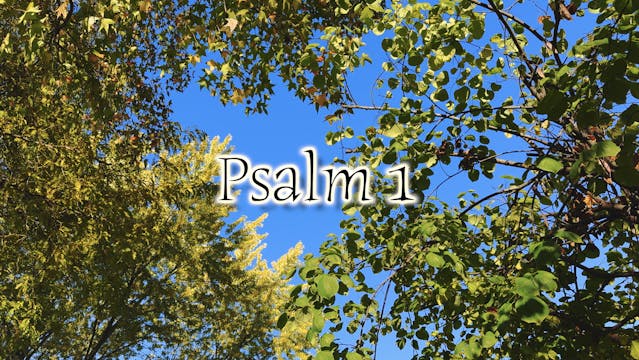 Psalm 1 (Simply Scripture Series: Epi...