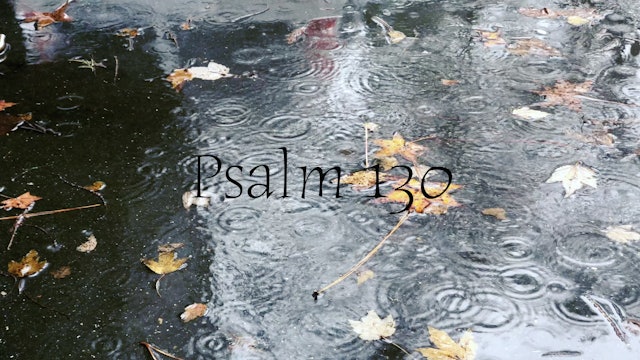 Psalm 130 (Simply Scripture Series: Episode 6)