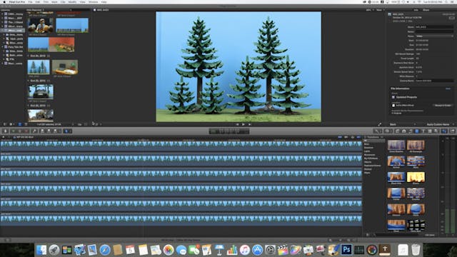 Multiplying Trees in Missionary Penny