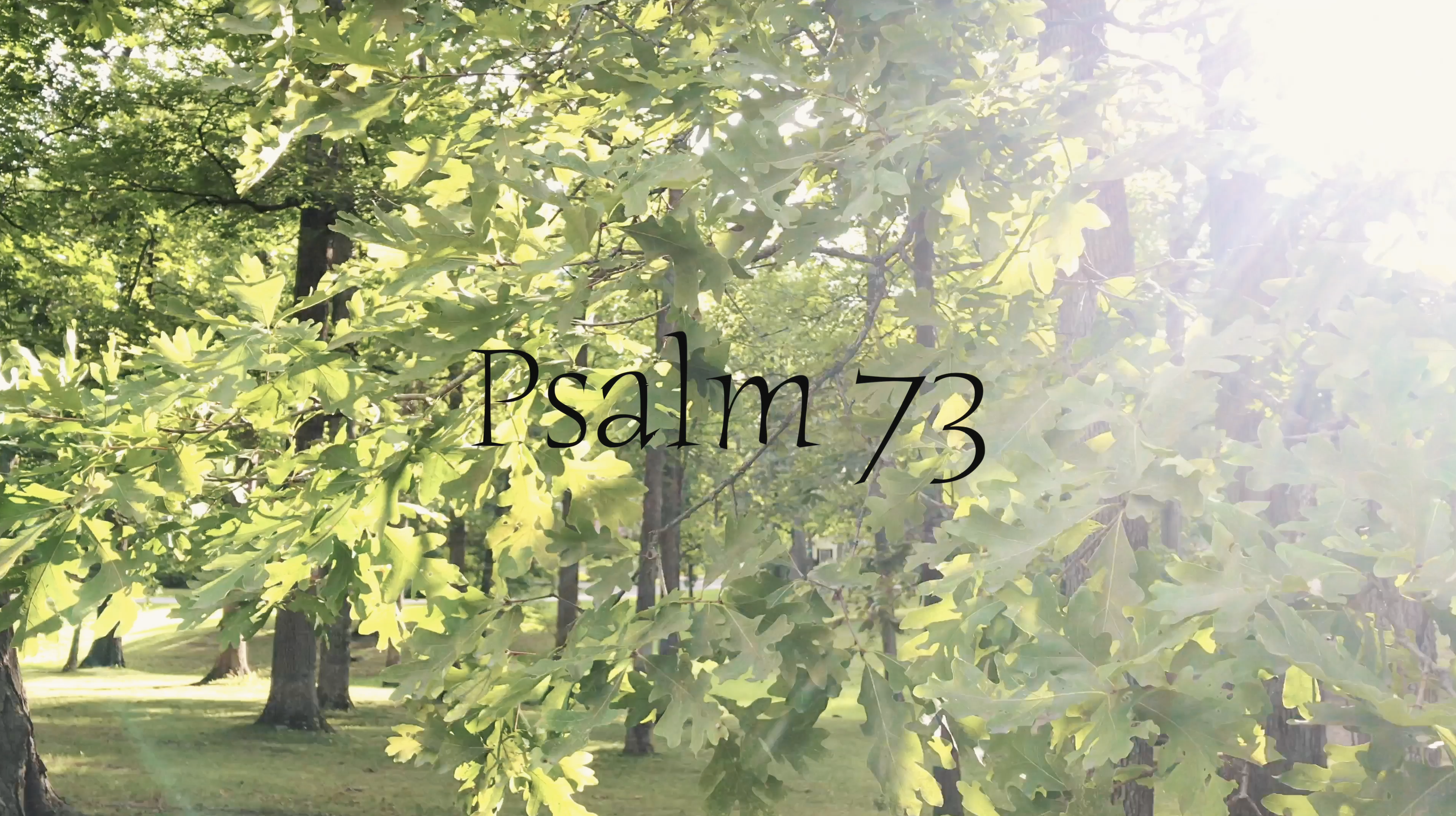 Psalm 73 (Simply Scripture Series: Episode 4)