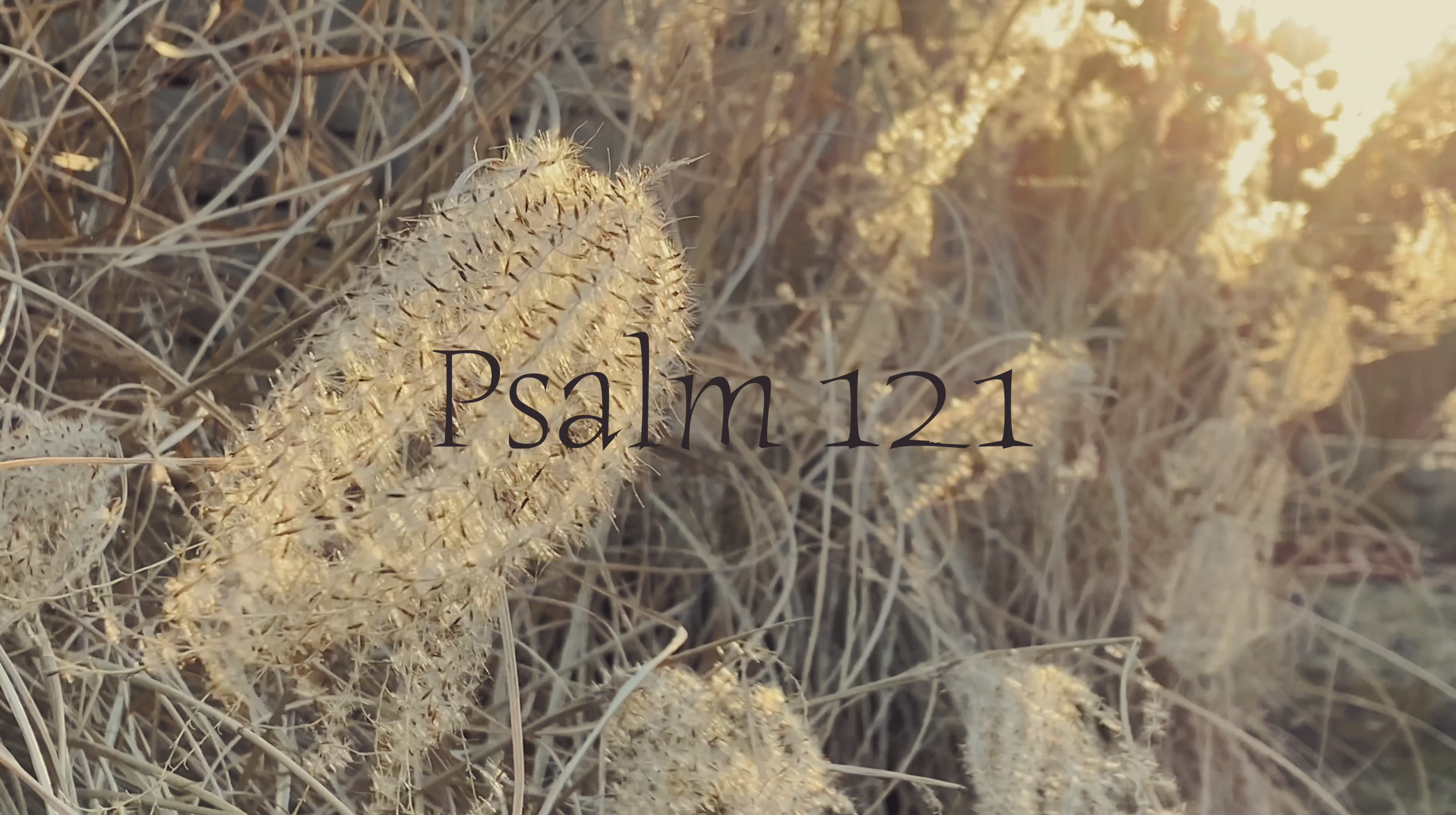 Psalm 121 (Simply Scripture Series: Episode 9)