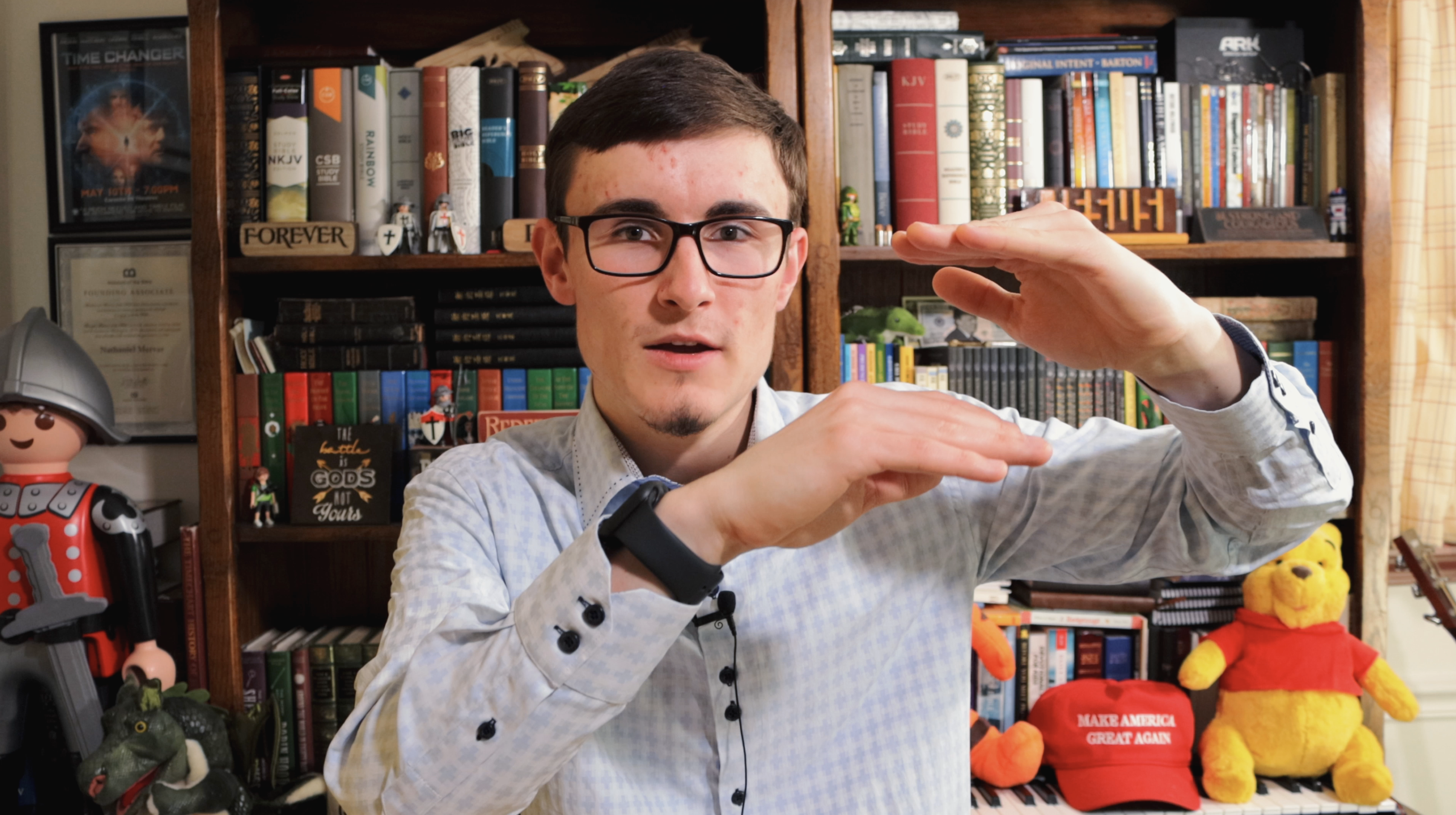 The Story Behind Parrot in the Cage