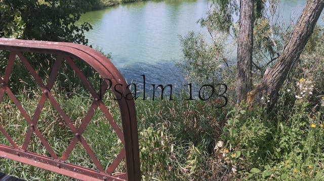 Psalm 103 (Simply Scripture Series: E...