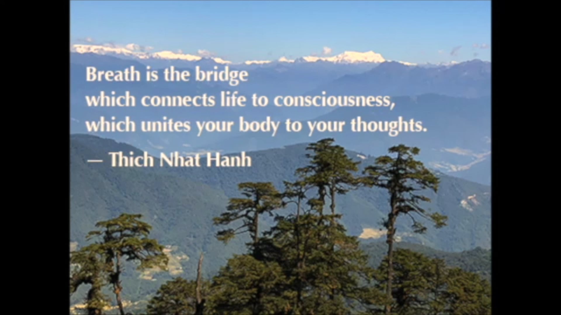 Meditation -Breath