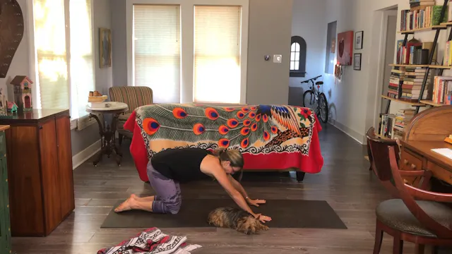 Morning Movement - Baby Vinyasa Flow