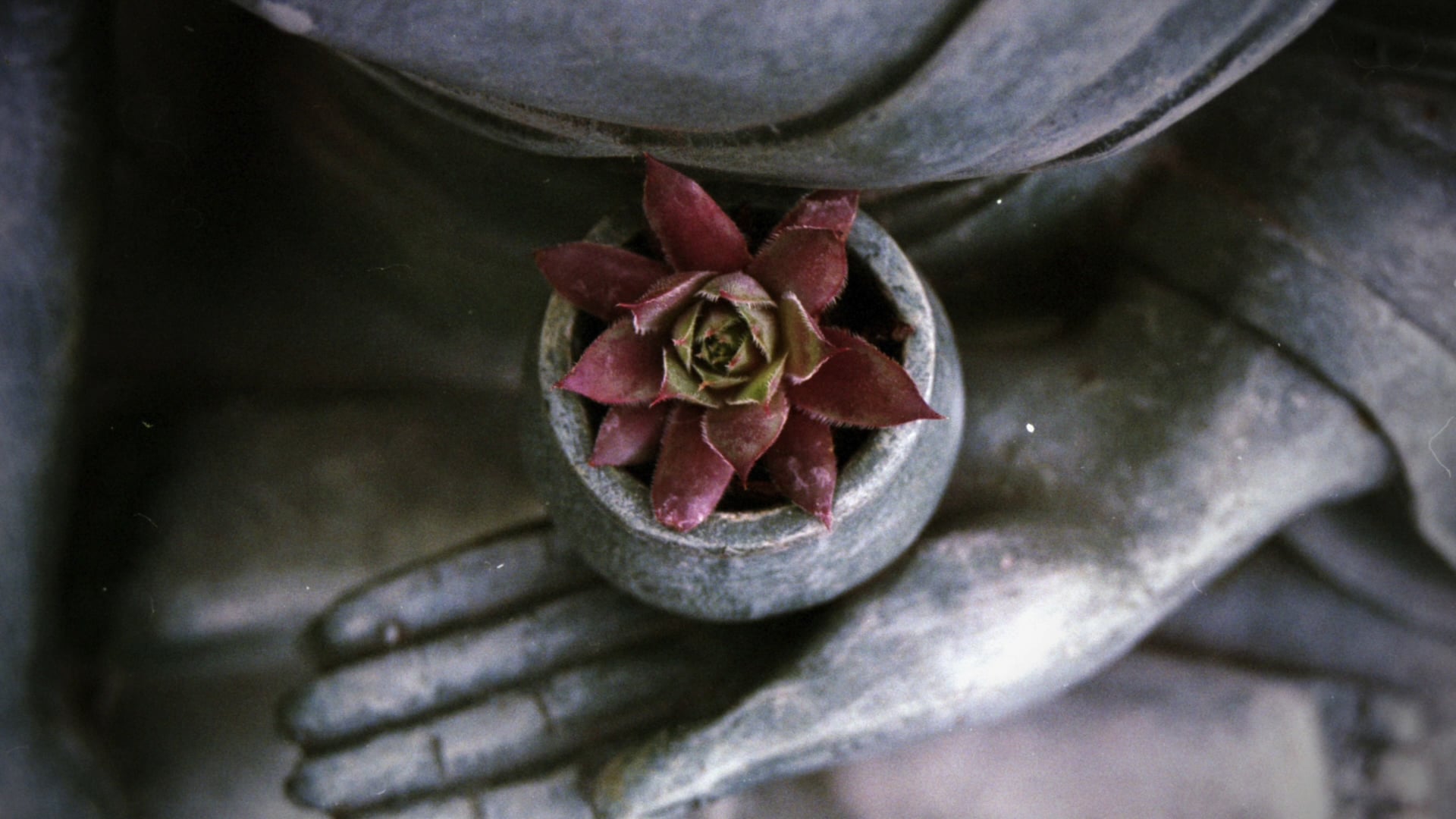 Guided Meditation: Ocean of Breath