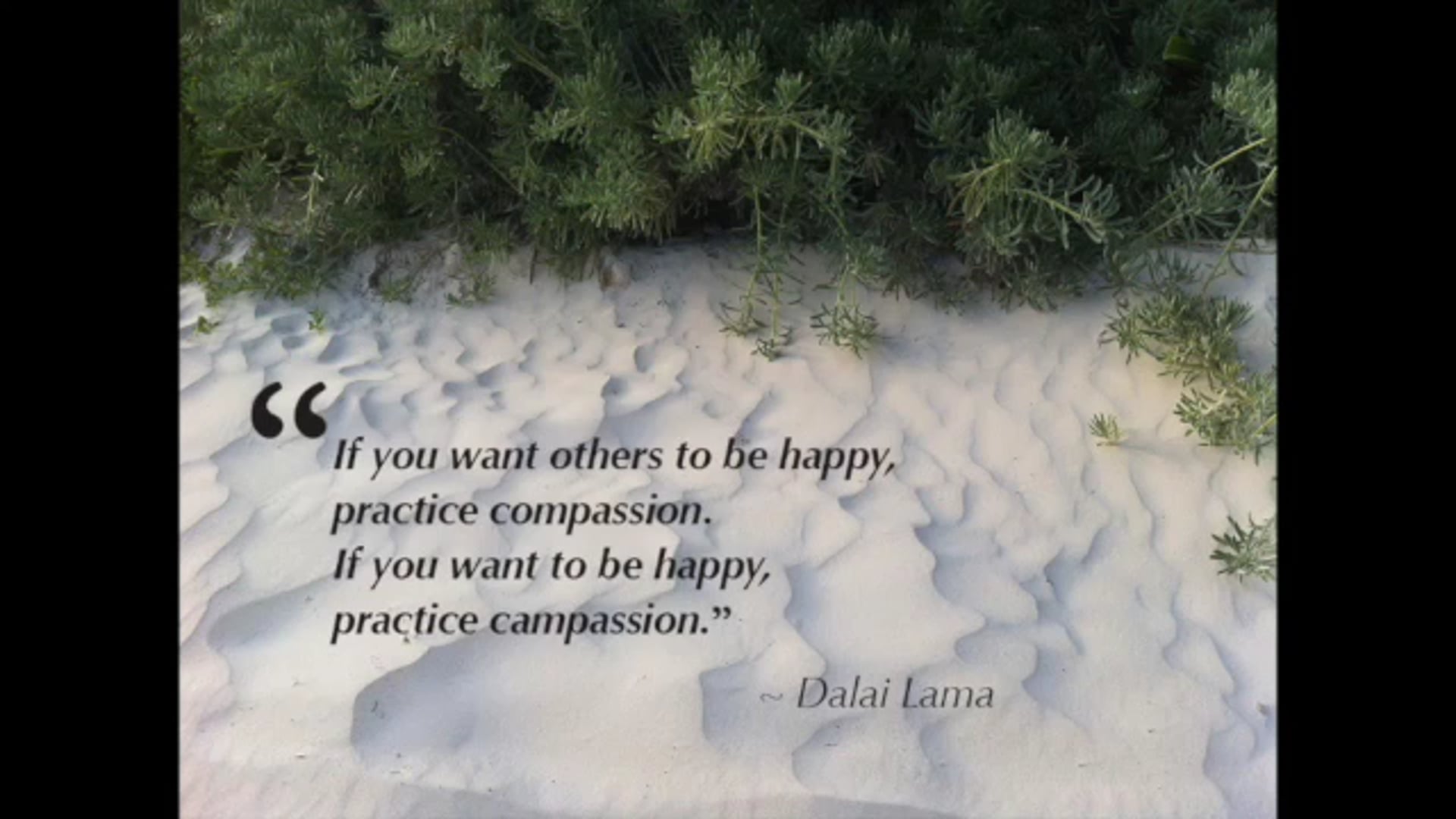 Meditation: Guided Tonglen