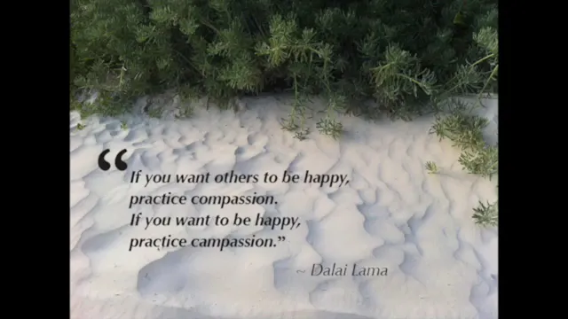 Meditation: Guided Tonglen