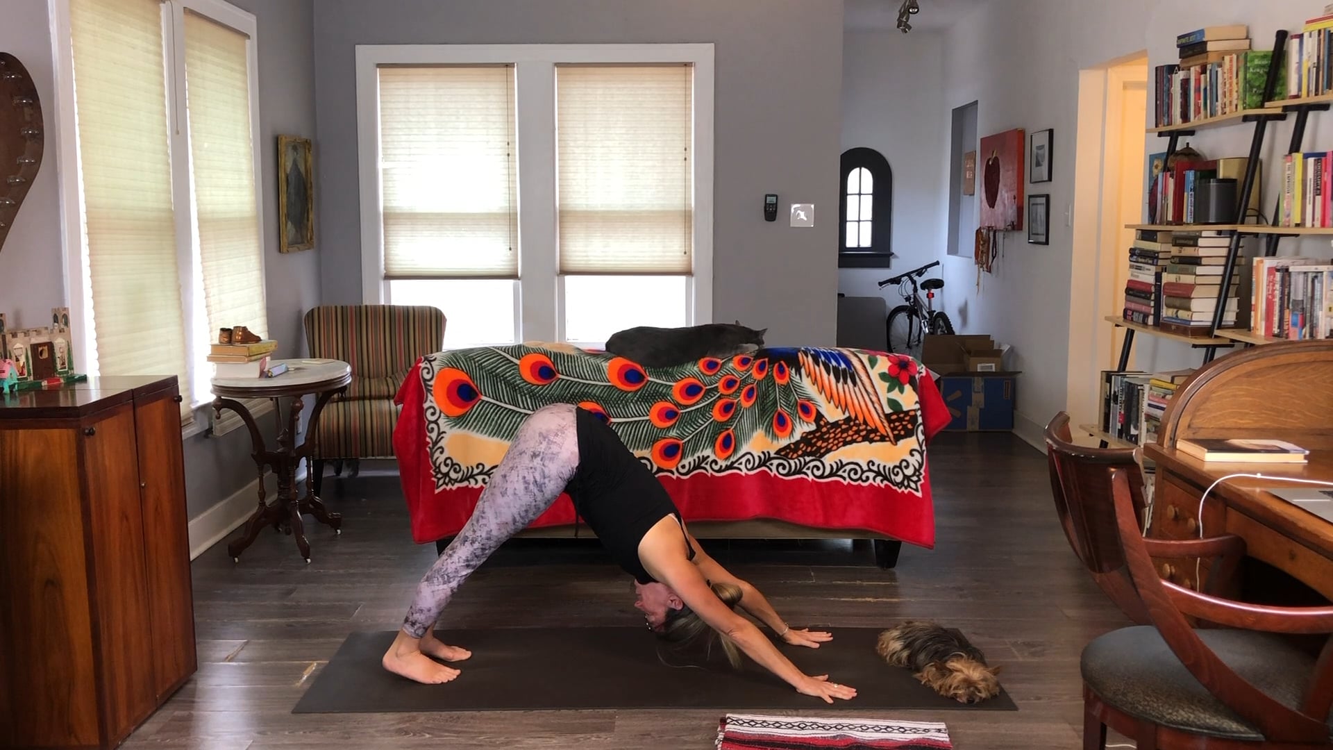 Movement Practice Moon Salutations