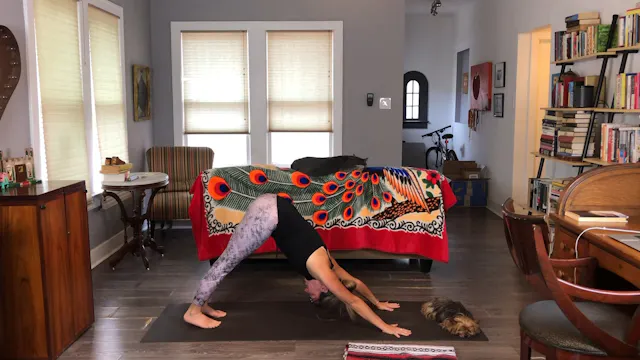 Movement Practice Moon Salutations