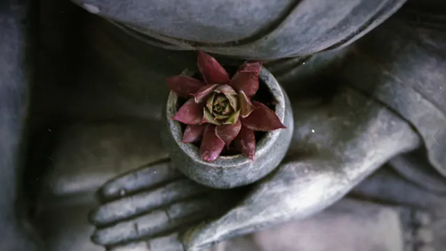 Meditation - Breath as Light