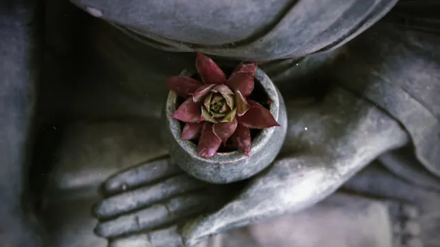 Meditation - Sensory Bubble