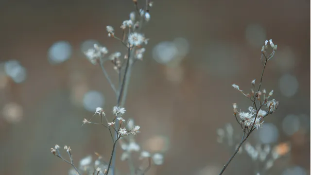 I am ok right now (1 Min)