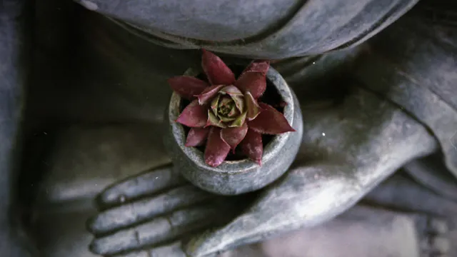 Meditation - Being FOR Yourself