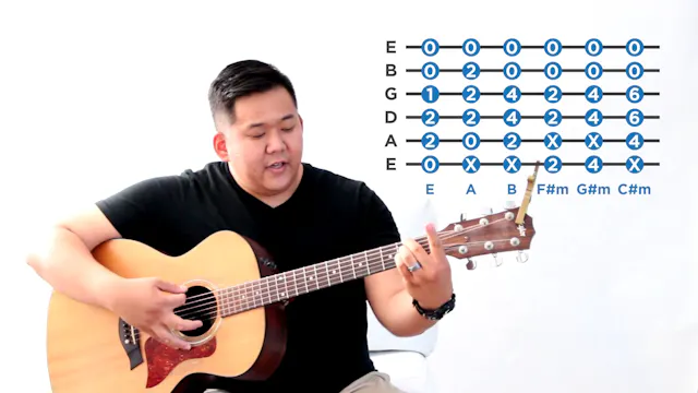 8 - Key of E (Basic Chords) - The 21 Guitar Lessons