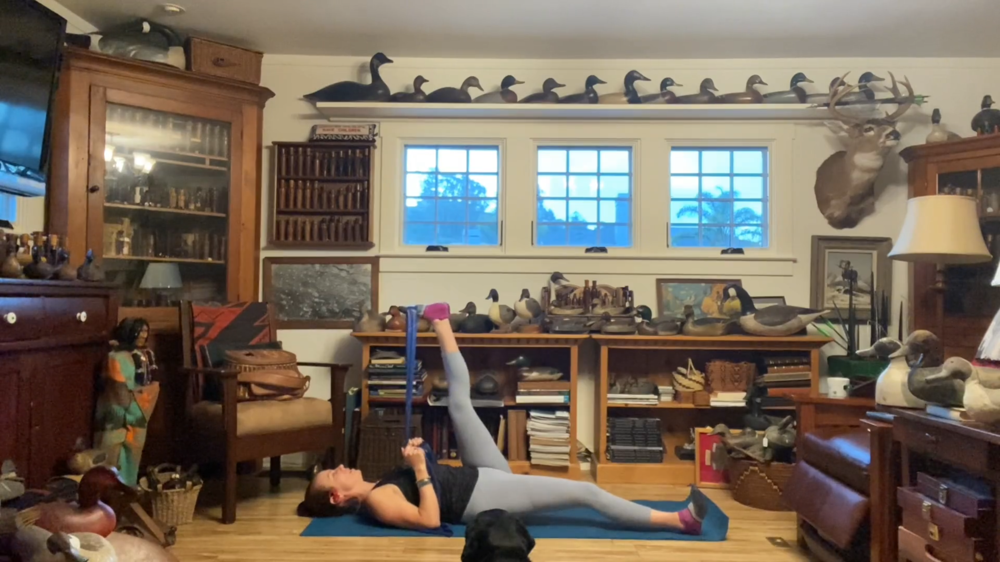 Mat Modified Legs Express 